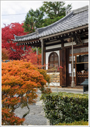 弘源寺　秋の特別拝観